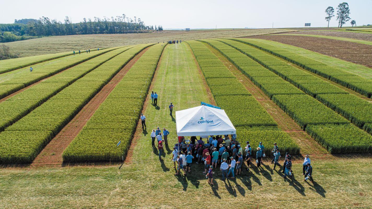 Tecnologia Agrícola